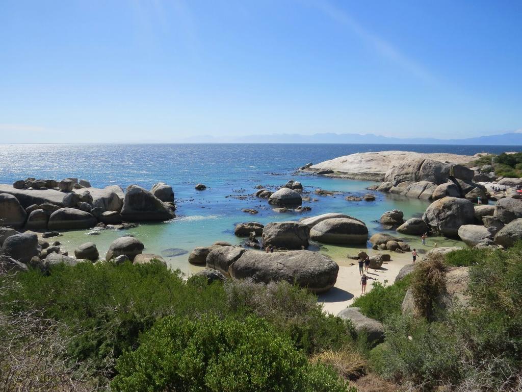 Penguins View Guesthouse Simon's Town Bagian luar foto
