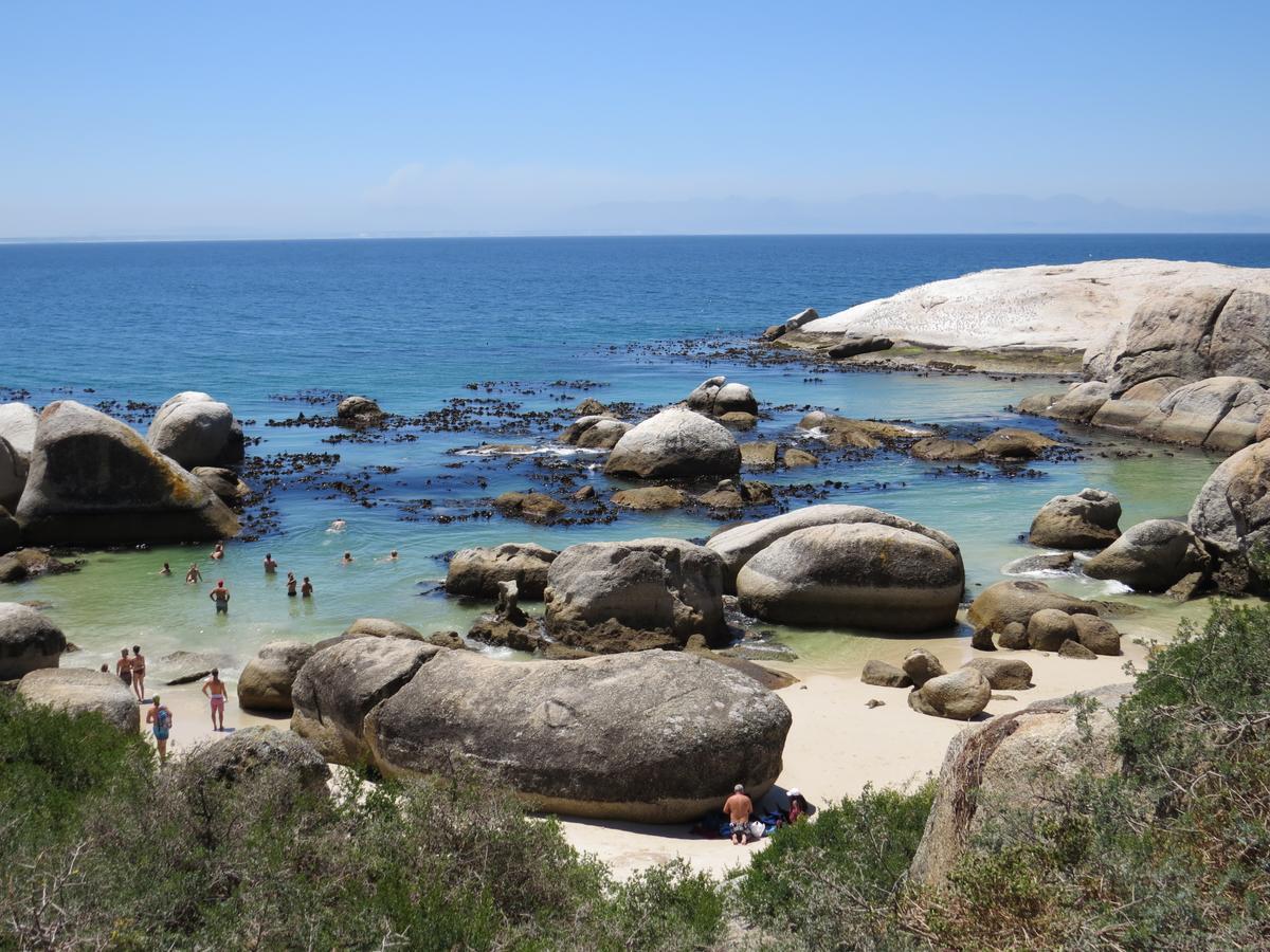Penguins View Guesthouse Simon's Town Bagian luar foto