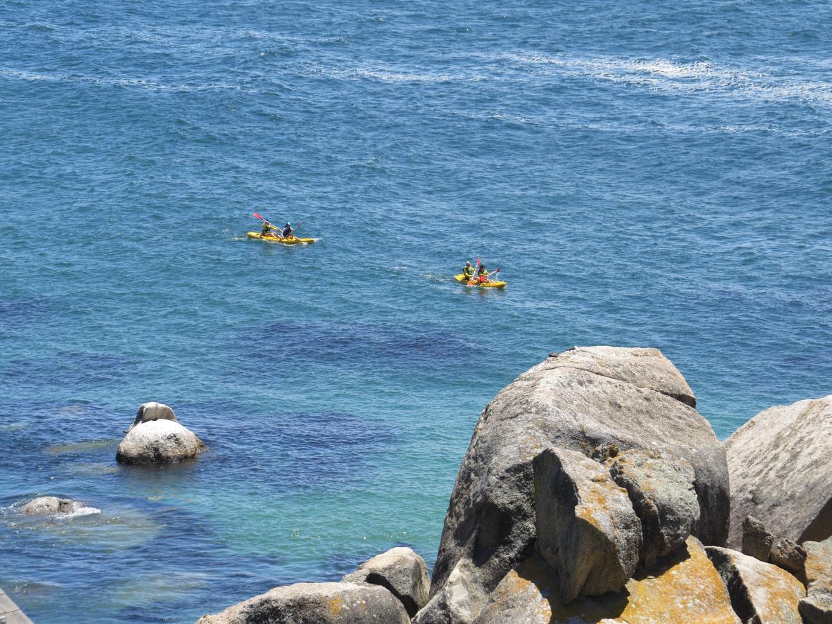 Penguins View Guesthouse Simon's Town Bagian luar foto