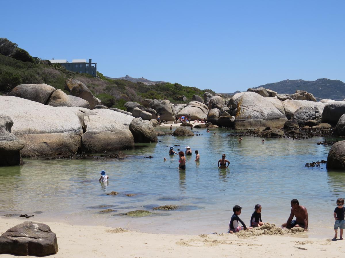 Penguins View Guesthouse Simon's Town Bagian luar foto
